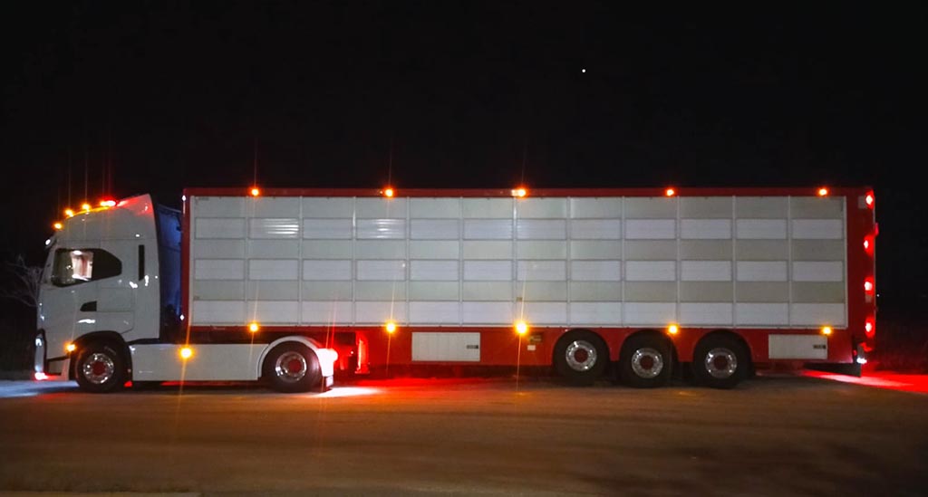 Imagen de camion - Transporte de ganado vivo